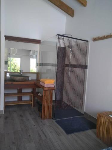 a bathroom with a shower and a sink in a room at VILLA Ti'OUITE in Surgy