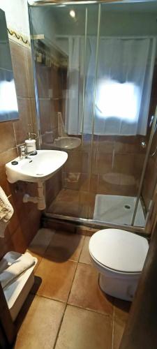 a bathroom with a toilet and a sink and a shower at Casita con jacuzzi - Rectoria de Dosquers in Maia de Montcal