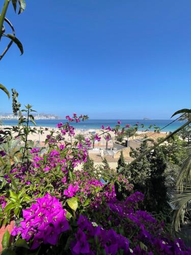 a view of the beach with purple flowers at Apartamentos Bahia in Benidorm