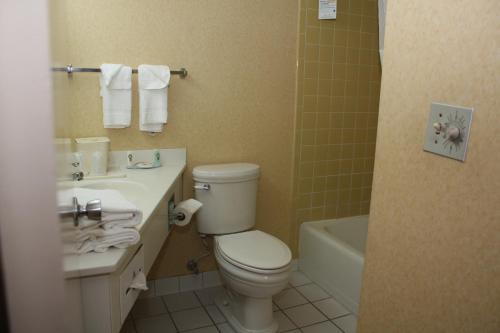 a bathroom with a toilet and a sink and a tub at Quality Inn Shenandoah Valley in New Market