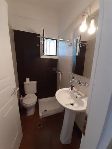 里姆尼奥纳斯Kapetaniou Apartments的带水槽和马桶的小浴室