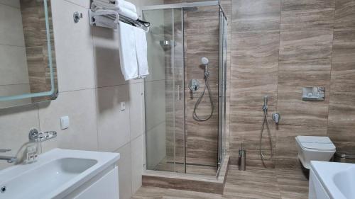 a bathroom with a shower and a sink and a toilet at Hotel Atmosphere in Poltava