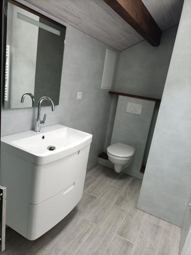 une salle de bain avec un lavabo blanc et des toilettes dans l'établissement La clé du Champ, à Le Clerjus