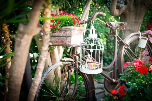 a bike with a basket full of flowers at B&B DUE SORELLE in Sirolo
