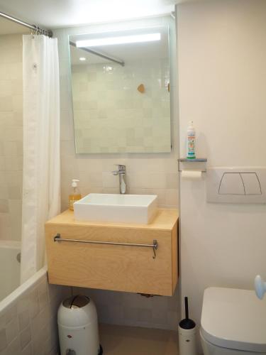 une salle de bain avec un lavabo et un miroir et des toilettes dans l'établissement Le Bigorneau , beach at 20m and free private carpark, à Saint-Malo