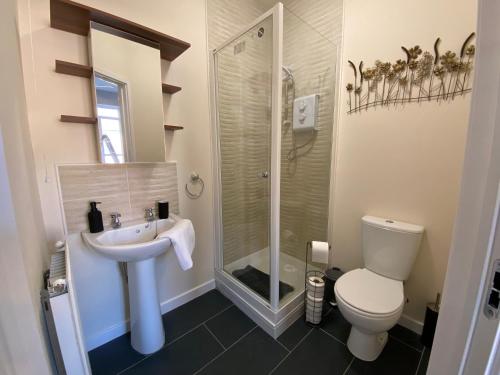 ein Bad mit einem WC, einem Waschbecken und einer Dusche in der Unterkunft Heartswood Home Modern 3-bedroom, double driveway in Bentley