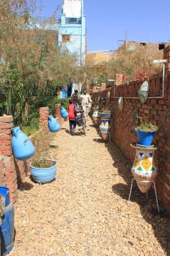 a group of potted plants on a brick wall at Bet El Kerem Guesthouse in Aswan