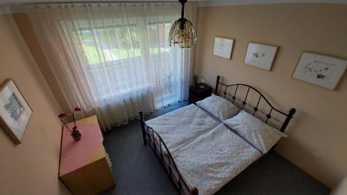 a bedroom with a bed in front of a window at Apartmán Eva - plně vybavený byt - Týn nad Vltavou in Týn nad Vltavou