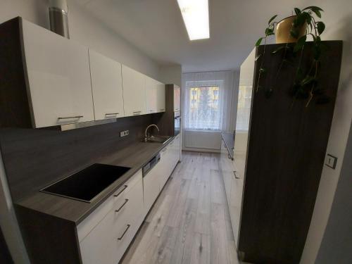 a kitchen with white cabinets and a wooden floor at Apartmán Eva - plně vybavený byt - Týn nad Vltavou in Týn nad Vltavou