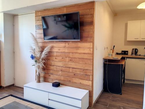 ein Wohnzimmer mit einer Holzwand und einem TV in der Unterkunft Plein centre ville Appartement in Salon-de-Provence