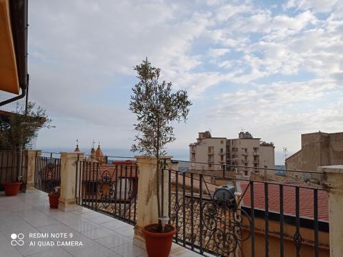 a tree on the balcony of a building at La sinfonia di.kerkent in Agrigento