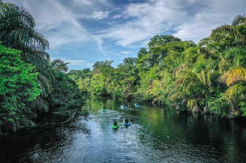 Landskap semula jadi dekat dengan lodge