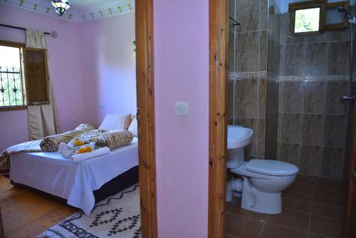 a bathroom with a bed and a toilet and a shower at Auberge De La Vallée in Imlil