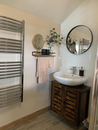 a bathroom with a sink and a mirror at 1 bedroom woodland cabin in Launceston