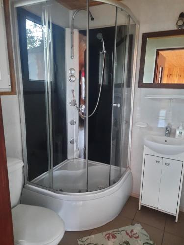 a bathroom with a shower and a toilet and a sink at Agroturystyka nad Biebrza Sośniaki in Goniadz