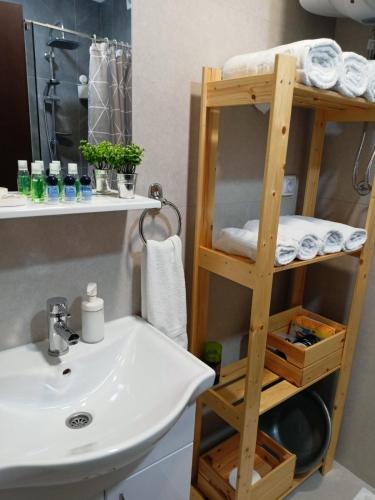 a bathroom with a sink and a shelf with towels at Apartman 3N in Veliko Gradište