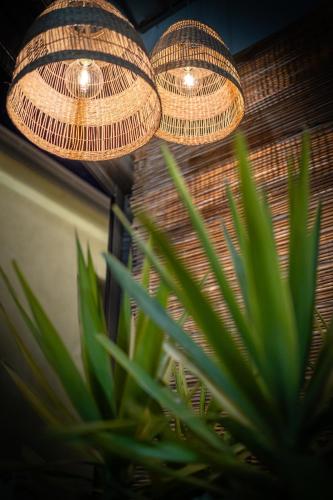 two lights hanging over a plant in a room at Hotel Delfino in Caorle