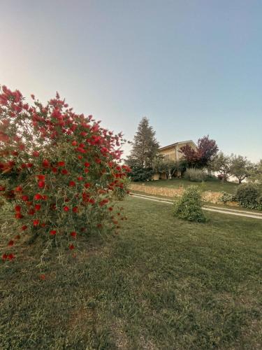 Bed & Breakfast Le Coccinelle – Photos 3