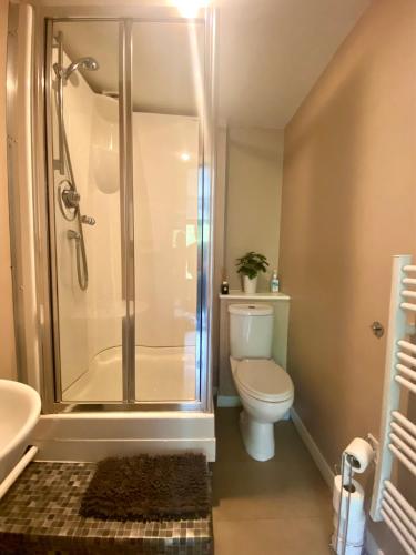 a bathroom with a shower and a toilet and a sink at Inversnaid Bunkhouse in Inversnaid