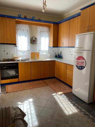 Kuchyň nebo kuchyňský kout v ubytování Sea View Maisonette in Glarokamvos by Xenius Zeus