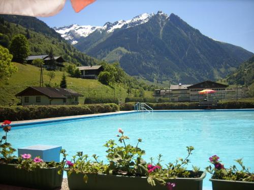 a swimming pool with mountains in the background at Ferienwohnung Resi im Zentrum in Fusch an der Glocknerstraße