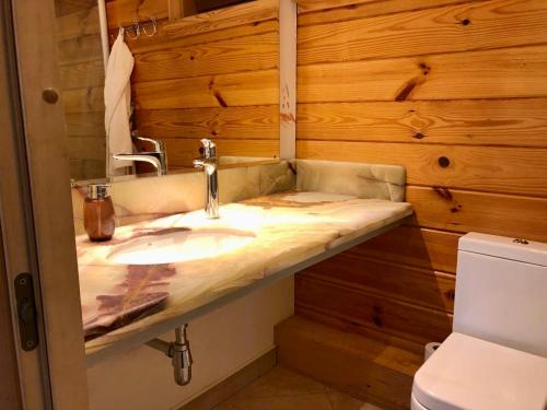 a bathroom with a sink and a wooden wall at On The River in Vishenki