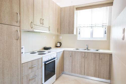 Η κουζίνα ή μικρή κουζίνα στο Mystique Apartment