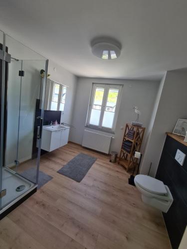 ein Badezimmer mit Dusche, Toilette und Waschbecken in der Unterkunft Ferienhaus Birute in Bernkastel-Kues