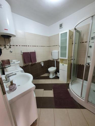 a bathroom with a toilet and a sink and a shower at Lavanda Samarin in Zambratija