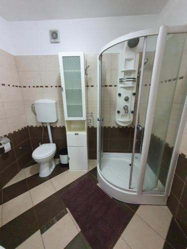 a bathroom with a shower and a toilet at Lavanda Samarin in Zambratija