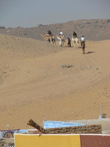 a group of people riding on horses in the desert at Bet El Kerem Guesthouse in Aswan