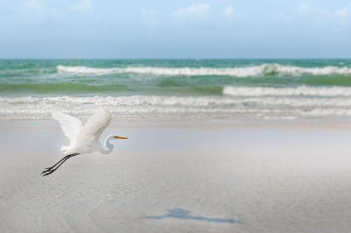 Salinas Premiun Resort – Photos 2