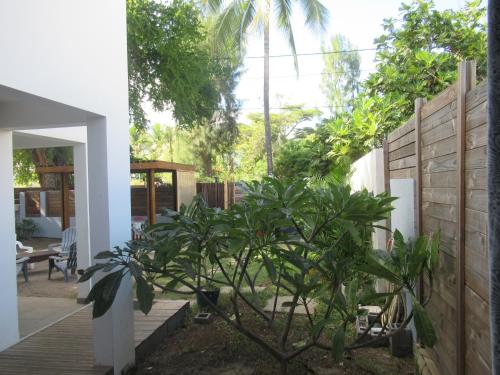 una casa con una palmera en el patio en Appart Maïté 4, en La Saline-Les-Bains