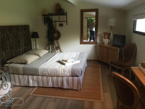a bedroom with a bed and a desk and a chair at La Villa Blanche in Bussy-Saint-Martin