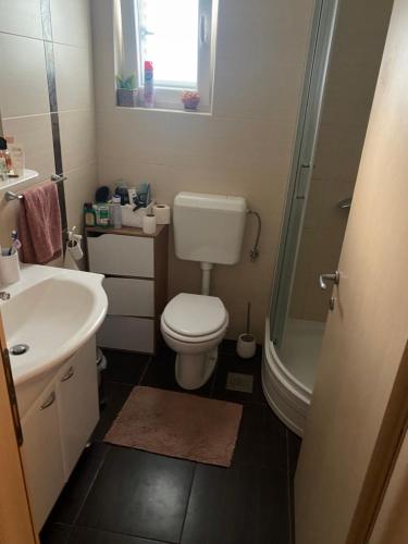 een badkamer met een toilet, een wastafel en een douche bij Donna in Vrh