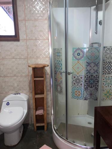a bathroom with a toilet and a glass shower at AUSVIA cabañas tinajas y spa in Hornopiren