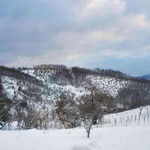 a snow covered hill with trees in the distance at Villa Grashtica - Prishtina City in Pristina