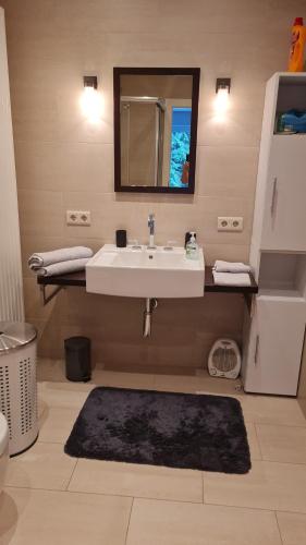 a bathroom with a sink and a mirror and a rug at Ferienapartments Bensch - Haus Reiskofel in Reisach