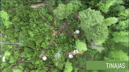 an overhead view of a forest with a house and trees at AUSVIA cabañas tinajas y spa in Hornopiren