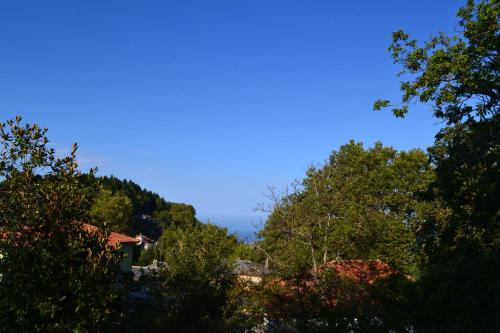 grupa drzew z niebieskim niebem w tle w obiekcie Karidia Apartments w mieście Kissos