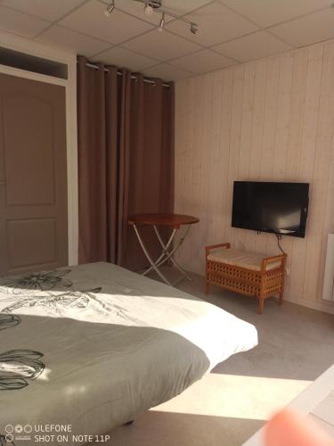 Schlafzimmer mit einem Bett und einem Flachbild-TV in der Unterkunft studio centre ville Agen in Agen