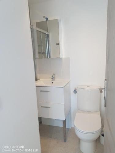 ein Badezimmer mit einem weißen WC und einem Spiegel in der Unterkunft studio centre ville Agen in Agen