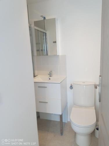 une salle de bain avec des toilettes blanches et un miroir dans l'établissement studio centre ville Agen, à Agen