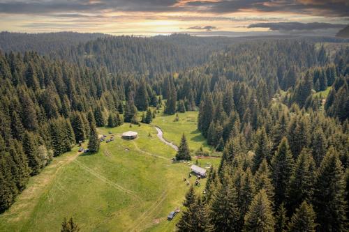 an aerial view of a field with trees at Gorski Hotel & Spa in Kopaonik