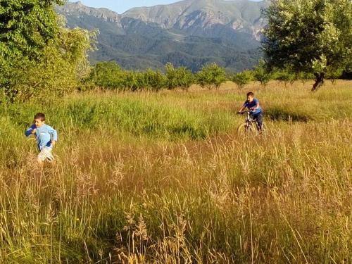 two young boys riding a bike in a field at Къща за гости "Край Реките" in Apriltsi