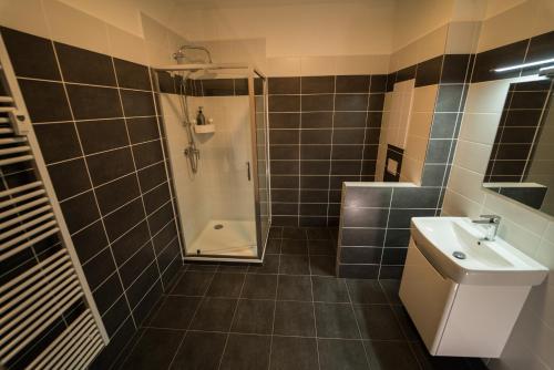 a bathroom with a shower and a sink at apartmán Sedmička Frymburk in Frymburk