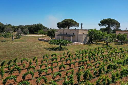 Κήπος έξω από το MASSERIA LILEI