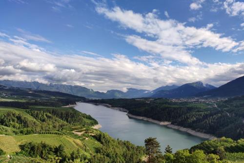 a river in the middle of a valley with mountains at Agritur La Fenice in Brez
