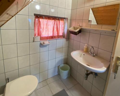 Füge Vendégház tesisinde bir banyo