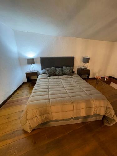 a bedroom with a large bed with two night stands at Casa Praxedis in Santiago